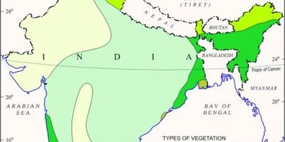 Карта мангровый лес в Индии